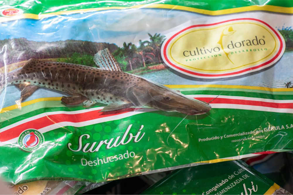 SURUBI parrillero Cultivo Dorado